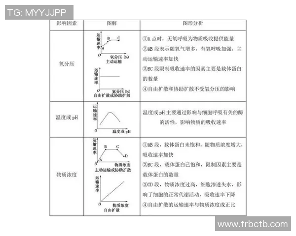 足球明星周薪计算方法揭秘以及影响因素分析 足球明星周薪计算方法揭秘以及影响因素分析